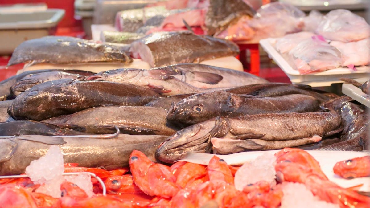 A vibrant display of fresh fish and seafood at a market, with various fish and crustaceans on ice.
